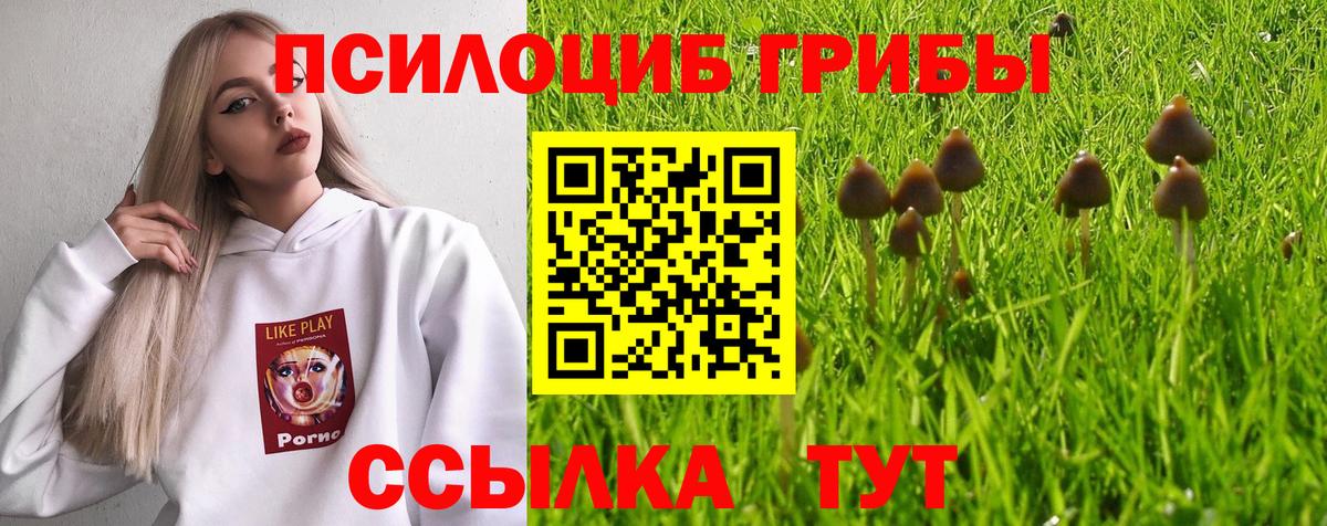 Псилоцибиновые грибы мицелий  Вход с VPN  Геленджик 